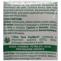 EQUILIBRA Gel ARNICA Azione Alleviante, Ideale Per Donare Sollievo Ed Una Piacevole Sensazione Di Freschezza Alla Pelle. Dalle Proprietà Calmanti e Lenitive 100ml