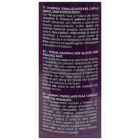 DIKSON Shampoo ANTIGIALLO, Tonalizzante, Per Capelli Biondi, Grigi e Decolorati. Con Micropigmenti Viola e Proteine Del Grano. Formula Professionale Con Acido Ialuronico 500ml