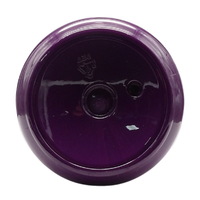 DIKSON Shampoo ANTIGIALLO, Tonalizzante, Per Capelli Biondi, Grigi e Decolorati. Con Micropigmenti Viola e Proteine Del Grano. Formula Professionale Con Acido Ialuronico 500ml