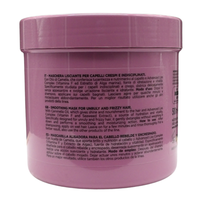 DIKSON Maschera Lisciante Per Capelli Crespi e Indisciplinati -LISCI PERFETTI- Con Olio Di Camelia e Advanced Liss Complex. Formula Professionale Con Acido Ialuronico 500ml