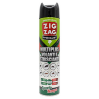 Zig Zag Insetticida Spray MULTINSETTO VOLANTI E STRISCIANTI, Spazio Tempo, Ad Azione Rapida Nello Spazio e Lunga Persistenza Nel Tempo. Formula Senz'Acqua, Non Bagna e Non Macchia 600ml