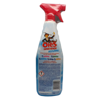 OIES Detergente Spray Sanissenza, Il Miglior Formulato Che Profuma, Igienizza e Spolvera Ambienti e Superfici. Rimuove Germi e Batteri. Disponibile In Varie Profumazioni 750ml AZZURRA