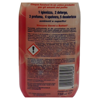 OIES Detergente Spray Igienizzante - Rosa - Deterge, Profuma, Spolvera, Deodora Ambienti e Superfici. Rimuove Germi e Batteri 750ml ROSA