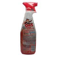 OIES Detergente Spray Sanissenza, Il Miglior Formulato Che Profuma, Igienizza e Spolvera Ambienti e Superfici. Rimuove Germi e Batteri. Disponibile In Varie Profumazioni 750ml SCARLATTA