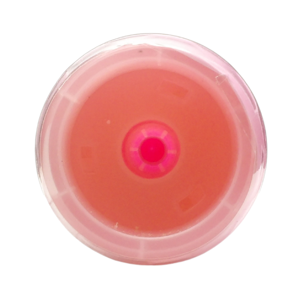 AIR FRESH Deodorante Per Ambiente DEO BREEZE Gel, Neutralizza Gli Odori. Disponibile In Diverse Varietà Di Fragranze, 45 Giorni Di Intenso Profumo 200g (FRESIA & GELSOMINO)