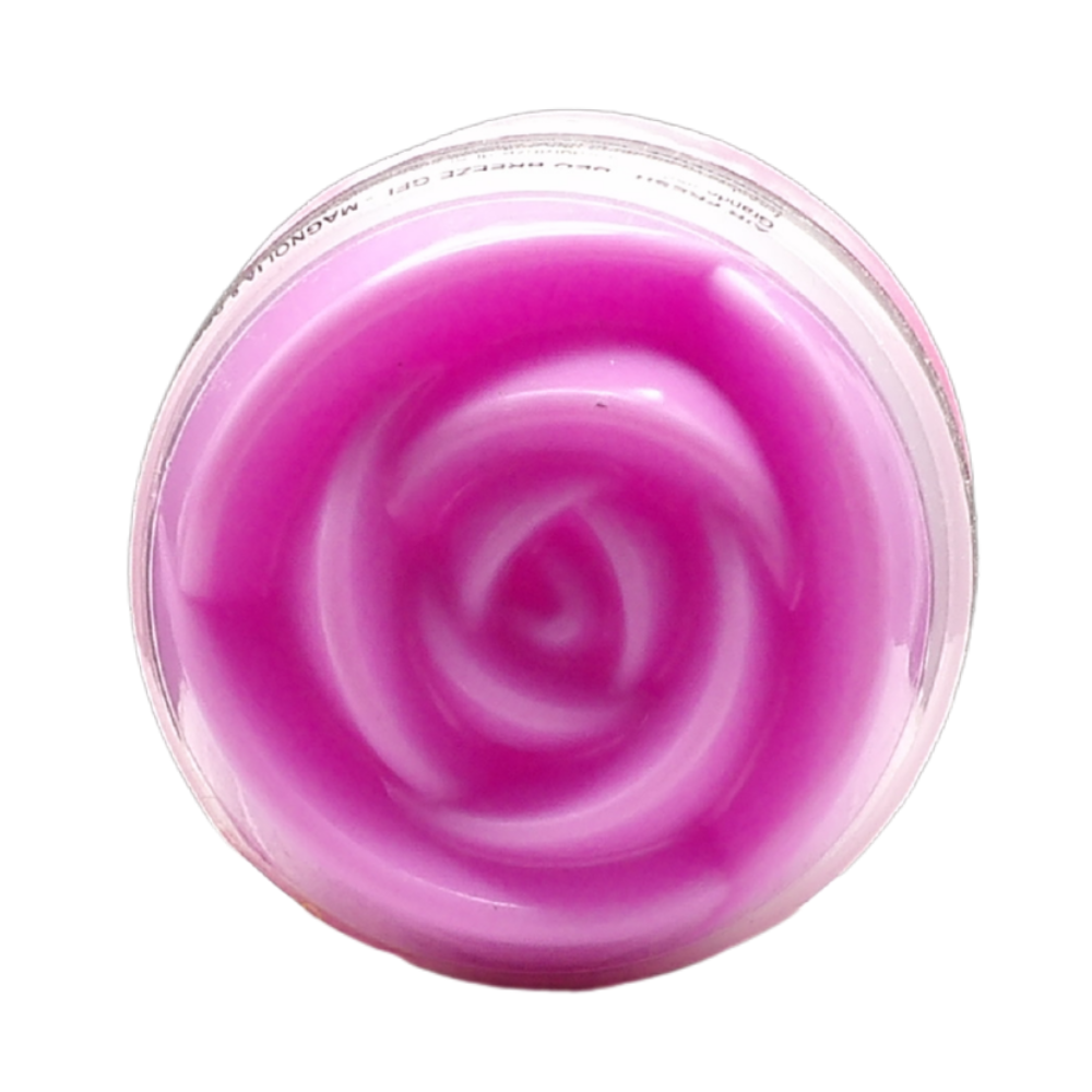 AIR FRESH Deodorante Per Ambiente DEO BREEZE Gel, Neutralizza Gli Odori. Disponibile In Diverse Varietà Di Fragranze, 45 Giorni Di Intenso Profumo 200g (MAGNOLIA & ROSE)