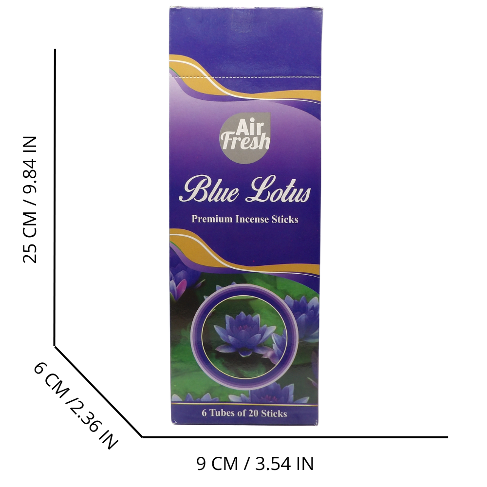 AIR FRESH Incenso Aromatico, Ottenuto Da Miscele Di Erbe, Cortecce, Fiori Ed Essenza Profumate. Ottimo Per Profumare Ambienti. Confezione Da 6 Astucci Da 20 Stick Ognuno (BLUE LOTUS)