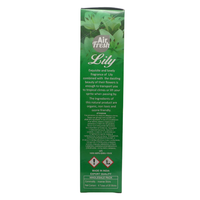 AIR FRESH Incenso Aromatico, Ottenuto Da Miscele Di Erbe, Cortecce, Fiori Ed Essenza Profumate. Ottimo Per Profumare Ambienti. Confezione Da 6 Astucci Da 20 Stick Ognuno (GIGLIO)