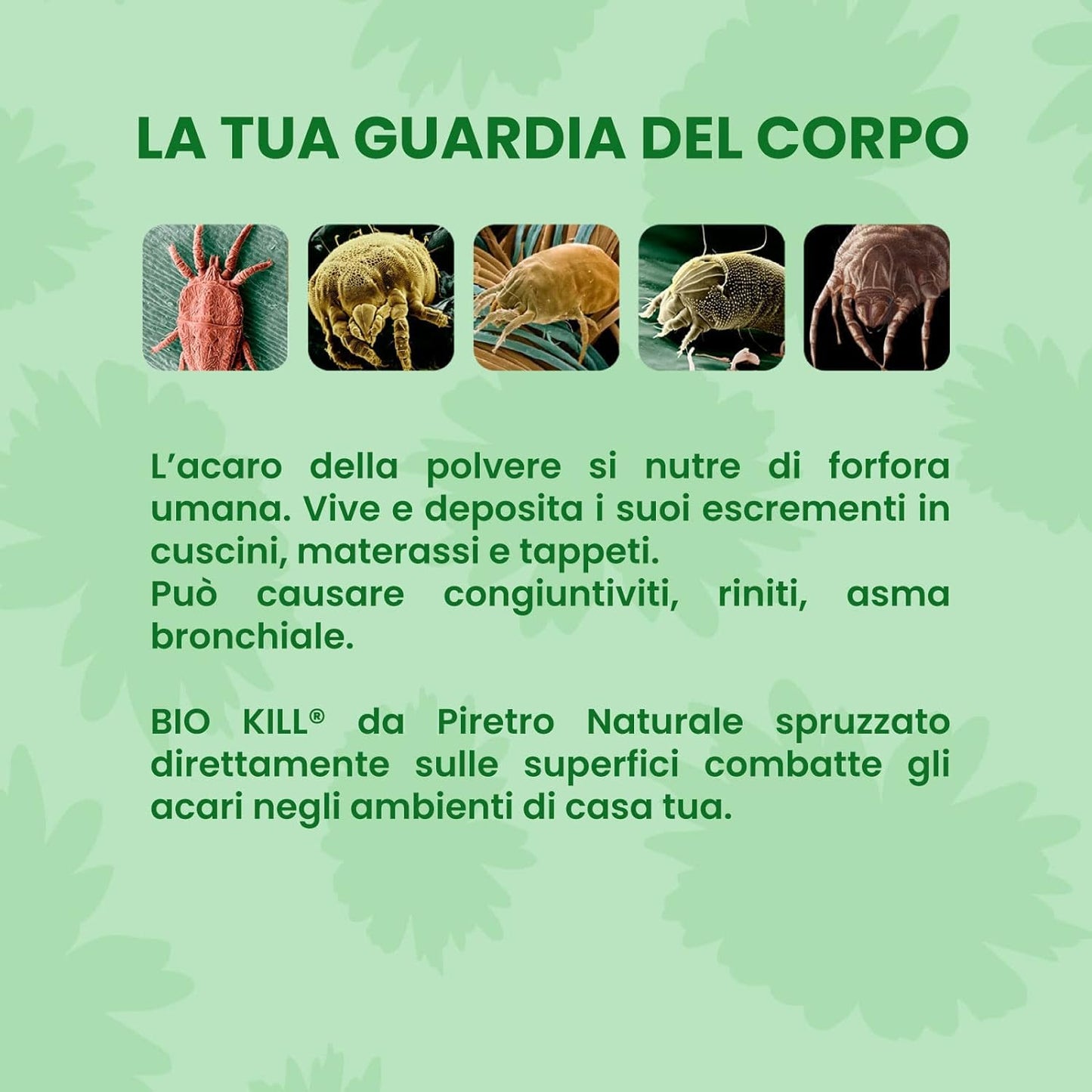 BIOKILL Insetticida Acaricida Microincapsulato No Gas, Ideale per Interni ed Esterni, Non Macchia e Non Lascia Odore, Resiste all’Umidità e ai Raggi Solari, Ricarica da 1000ml