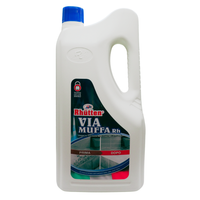 RHUTTEN Tanica Detergente VIA MUFFA Rh. Sbianca e Igienizza Muri, Piastrelle, Fughe, etc. Sbianca Le Macchie Nere Di Umidità In Modo Veloce 2L