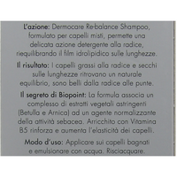 BIOPOINT Shampoo Sebo-Regolatore DERMOCARE RE-BALANCE, Per Capelli Misti. Con Vitamina B5. Per Cute Sana e Capelli Belli, Leggeri e Luminosi 200ml