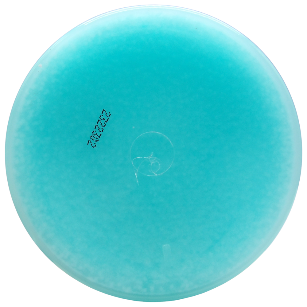 Biopoint Styling - Aqua Wax Strong Edition, Cera Capelli Modellante e Lucidante a Base d’Acqua, Fissaggio Extra Forte, Ideale per Look Bagnati, 100 ml