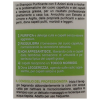 BIOPOINT Shampoo PURIFICANTE Con Estratto Di Limone, Per Capelli Grassi. Sebo-Normalizzante, 5 Azioni 400ml