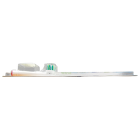 DENTASK TWIST CLEAN, Testina Per Una Pulizia Intensa Lungo Il Bordo Gengivale, Media. 5 Volte Più Efficace Per La Rimozione Della Placca Vs. Spazzolino Manuale (Confezione Da 2 Ricariche)