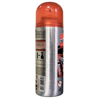 Chiaro Luce Spray Pelle, Idrata e Protegge. per Borse, Divani, Interni Auto, etc. 200ml